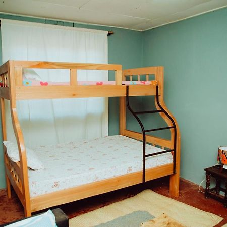 Emmy'S Backpackers Hostelイリンガ エクステリア 写真