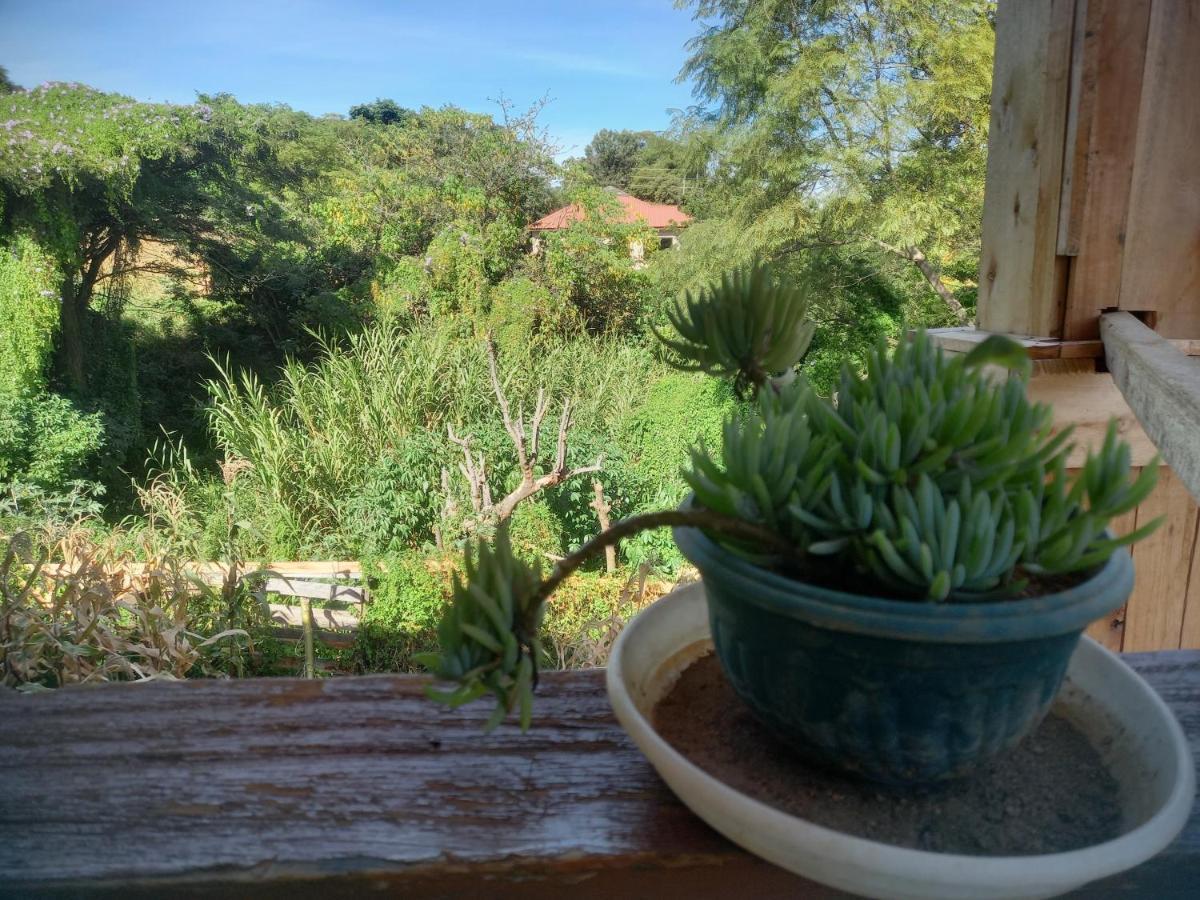 Emmy'S Backpackers Hostelイリンガ エクステリア 写真