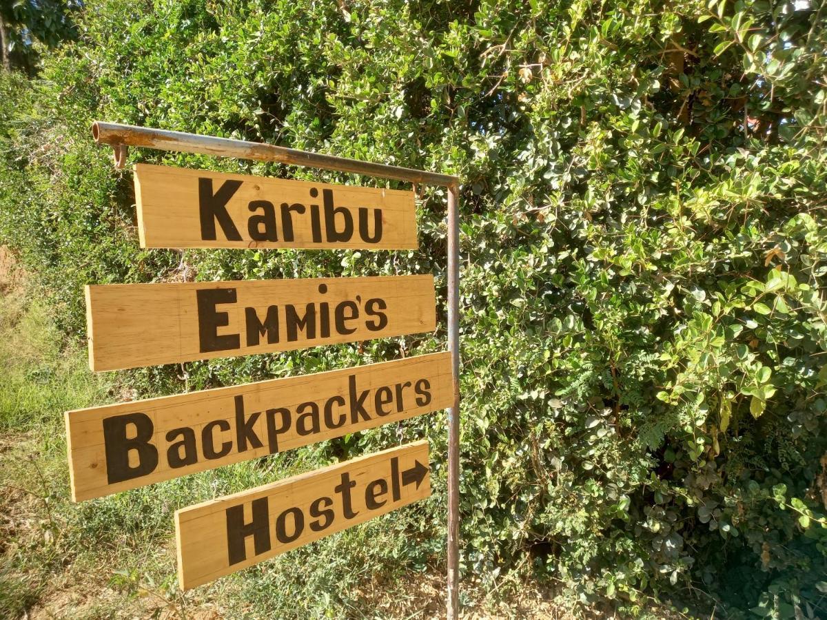 Emmy'S Backpackers Hostelイリンガ エクステリア 写真